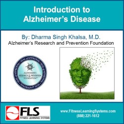 Introduction to Alzheimer's Disease Image